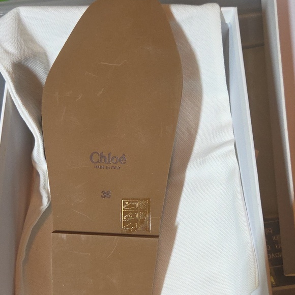 Chloe - Picture 7 of 14